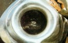Hajar Aswad, Sejarah Dan Keistimewaannya