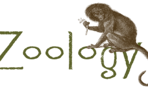 Said al-Asma’i Ilmuwan Botani dan Zoologi